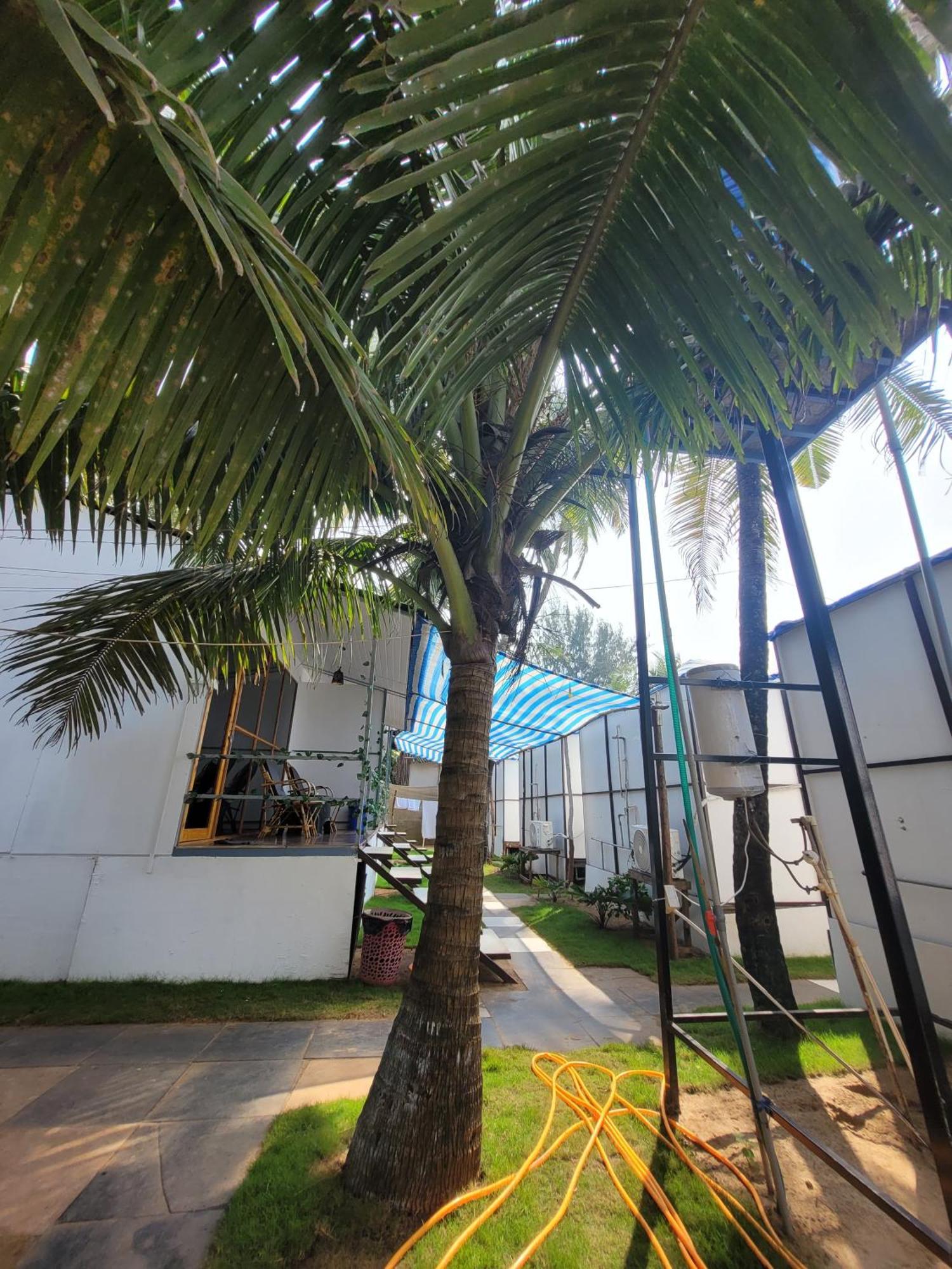 Kashinath Beach Huts Agonda Buitenkant foto